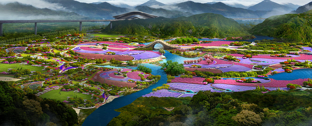 花海鳥(niǎo)瞰圖