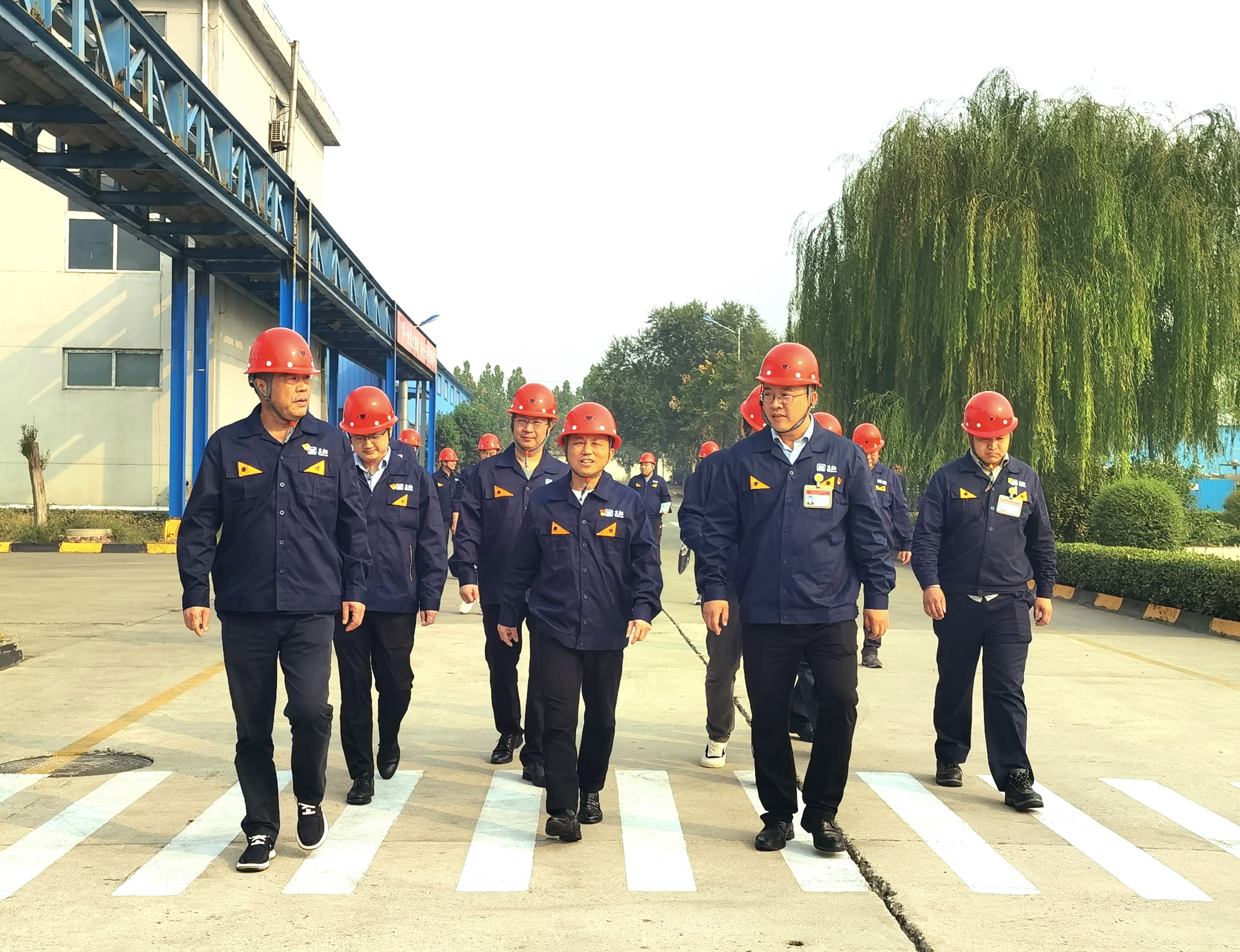 邯鄲黑貓實(shí)地調(diào)研.jpg 邯鄲黑貓實(shí)地調(diào)研.jpg