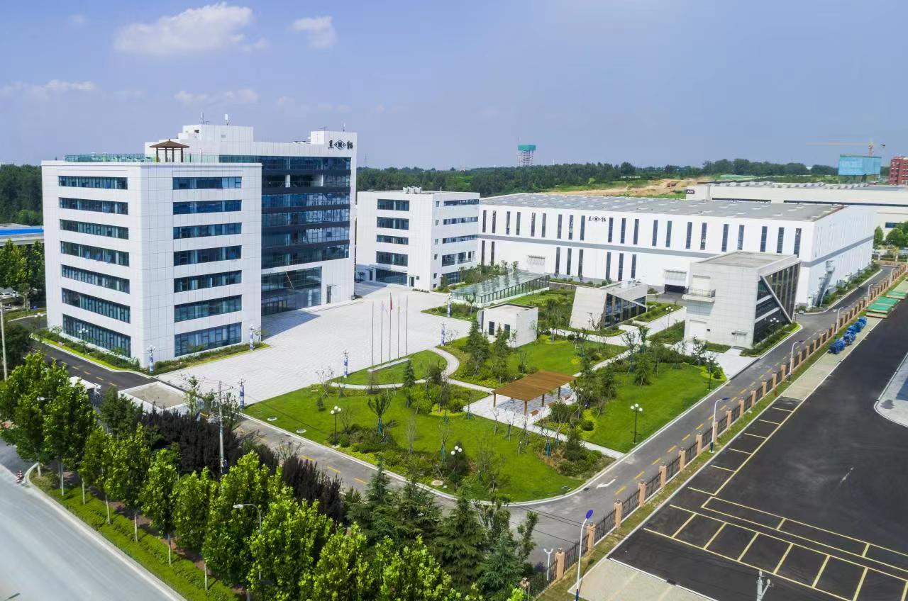 青島黑貓 (1).jpg